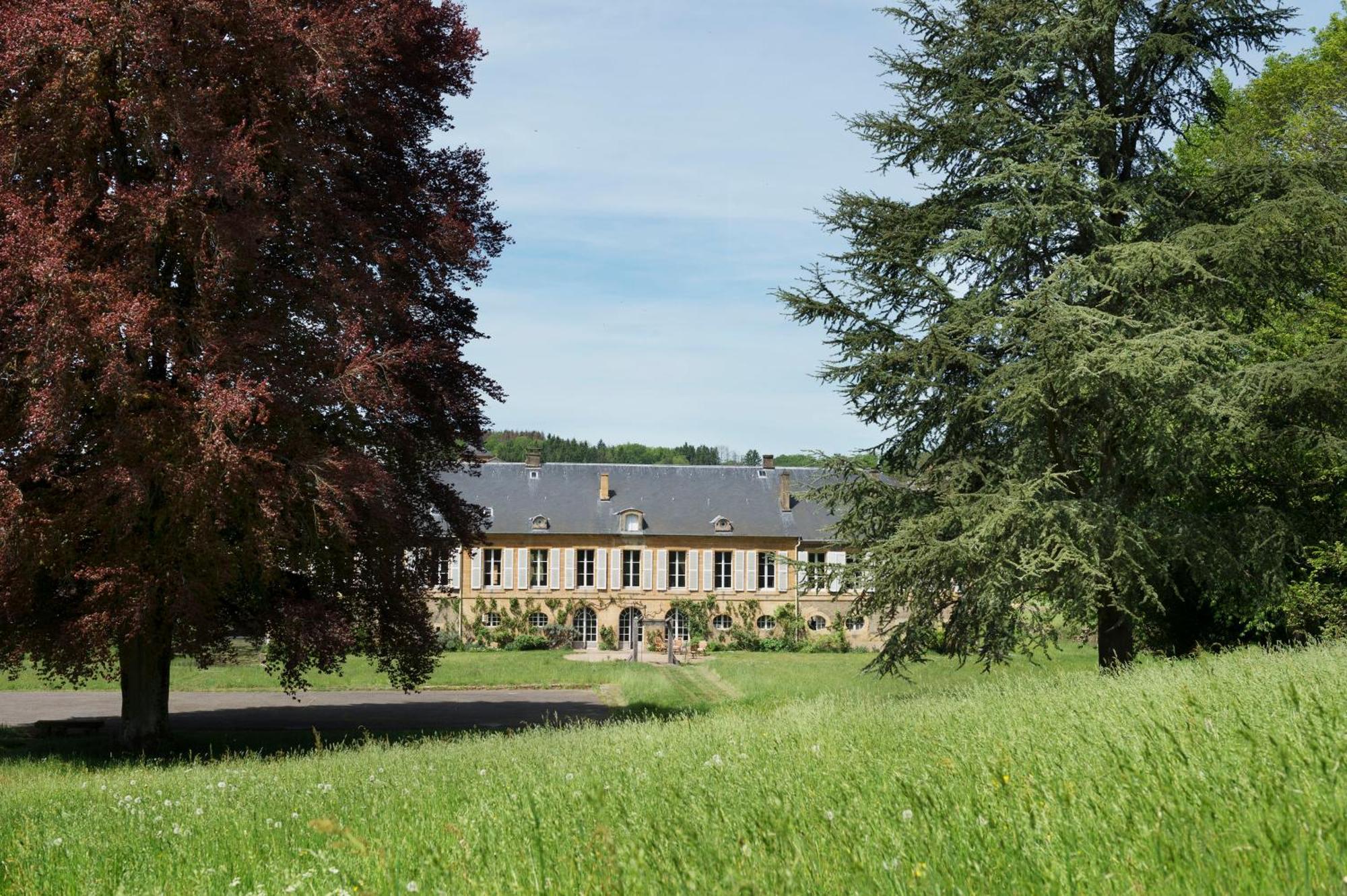 Chateau De Martigny Bed & Breakfast Colmey Eksteriør bilde