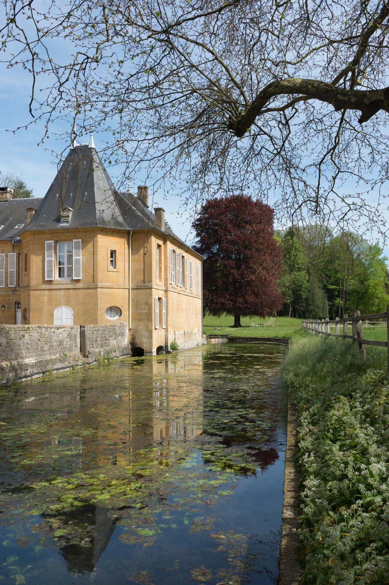 Chateau De Martigny Colmey Eksteriør bilde